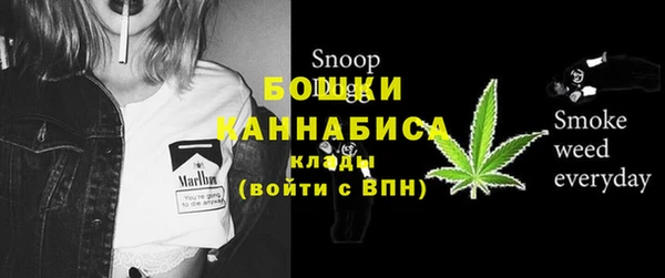 ГАЛЛЮЦИНОГЕННЫЕ ГРИБЫ Надым
