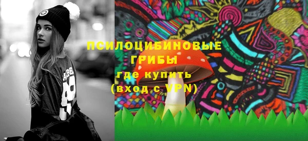 ГАЛЛЮЦИНОГЕННЫЕ ГРИБЫ Надым
