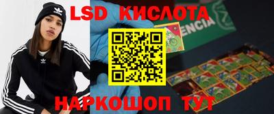 молекула духа Новозыбков