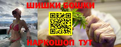 молекула духа Новозыбков