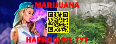 молекула духа Новозыбков