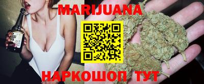 гидра Новодвинск