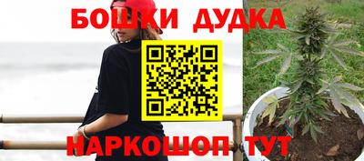 гидра Новодвинск