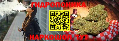 гидра Новодвинск