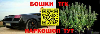 гидра Новодвинск