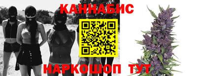 гидра Новодвинск