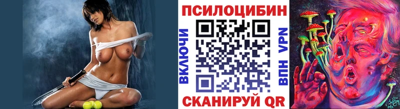 OMG ссылки  Серов  Галлюциногенные грибы Psilocybine cubensis 