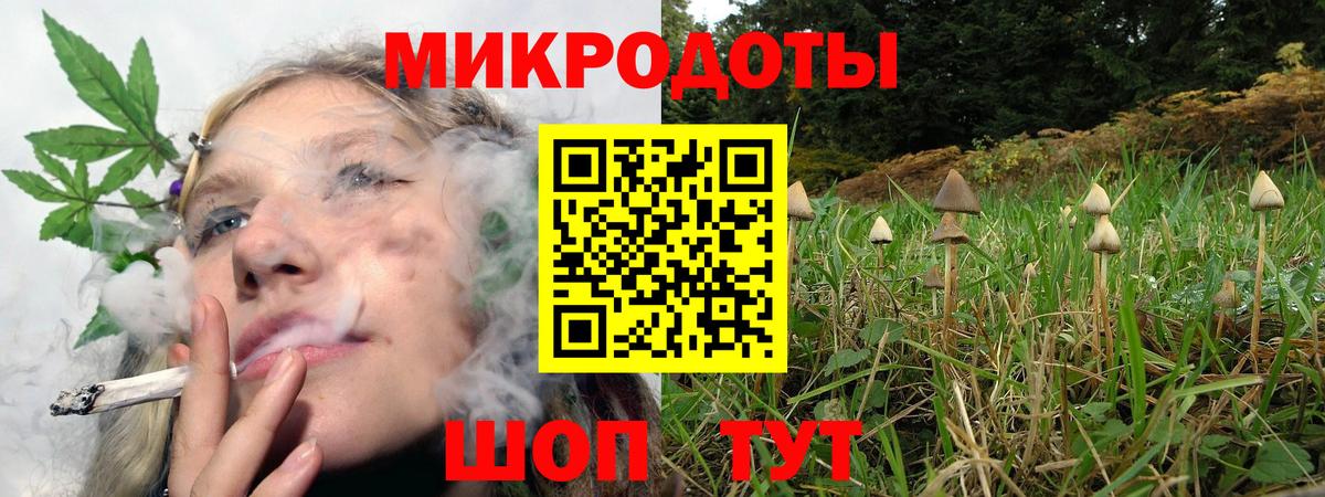 Псилоцибиновые грибы Psilocybine cubensis  купить  цена  Серов  Вход с VPN  Псилоцибиновые грибы мухоморы 