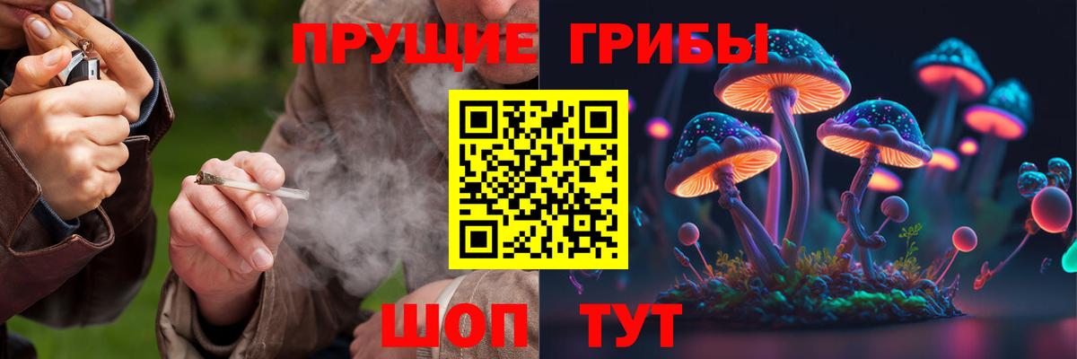 Псилоцибиновые грибы мухоморы Серов